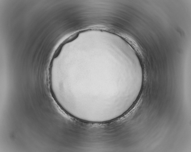 X0000111050808200907161404