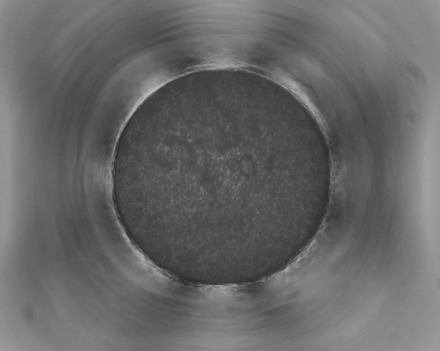 X0000111050810200907161404