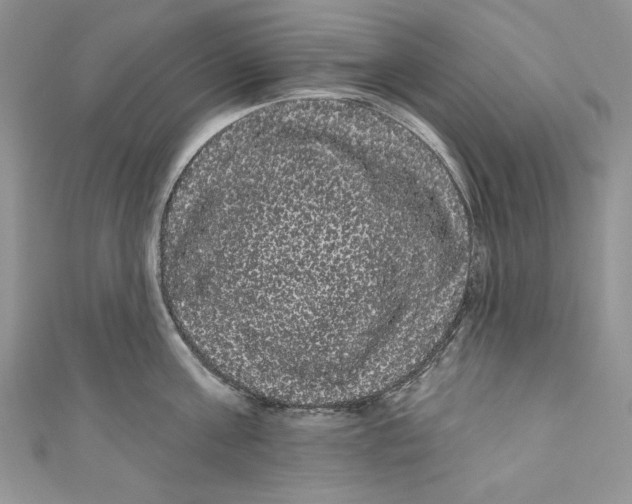 X0000111050811200907161404