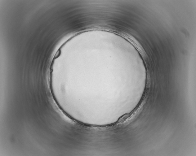 X0000111050812200907161404