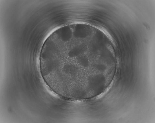 X0000111050814200907161404