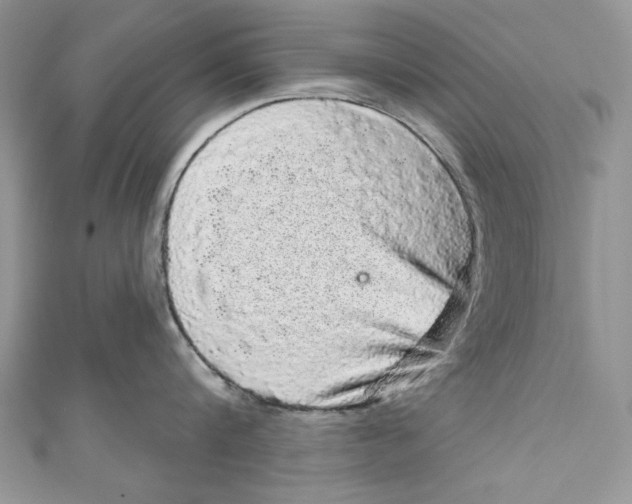 X0000111050816200907161404