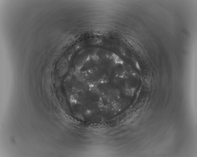 X0000111050817200907161403