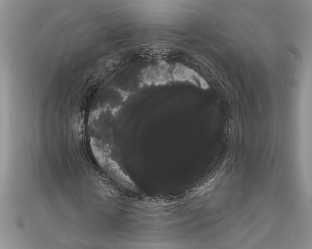 X0000111050818200907161403