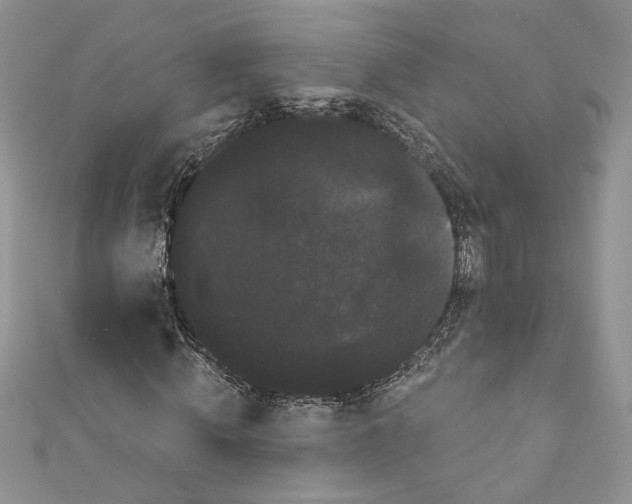 X0000111050820200907161403