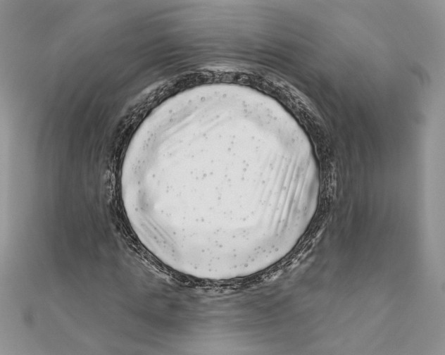 X0000111050821200907161403