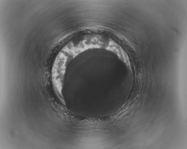 X0000111050822200907161403