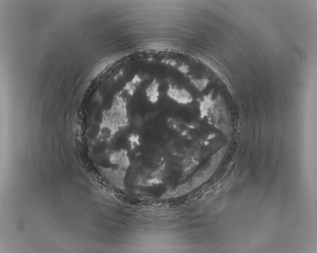 X0000111050823200907161403