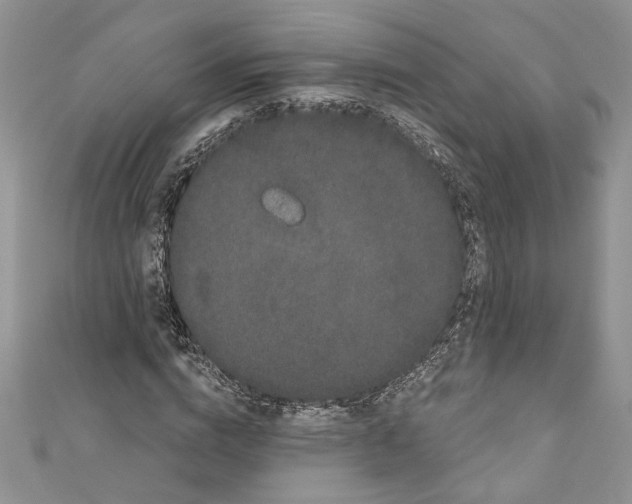 X0000111050824200907161403