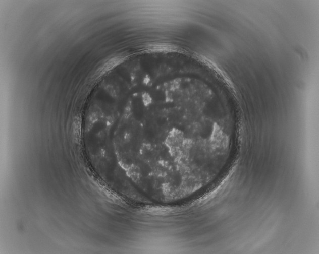 X0000111050825200907161403