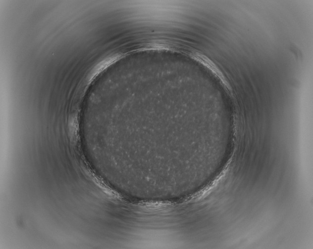 X0000111050826200907161403