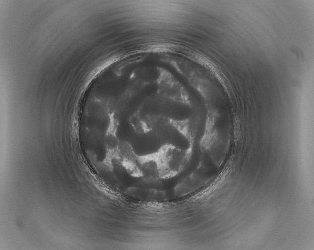 X0000111050827200907161403