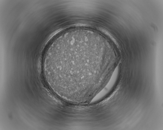 X0000111050829200907161403