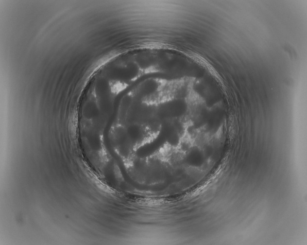 X0000111050831200907161403