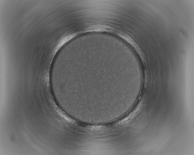 X0000111050834200907161403