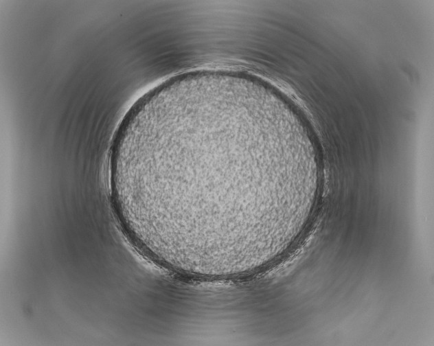 X0000111050838200907161404