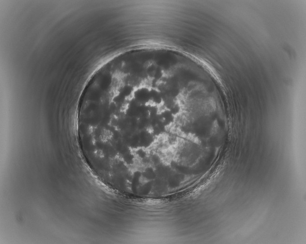 X0000111050839200907161404