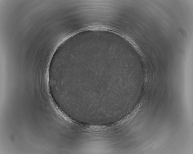 X0000111050840200907161404