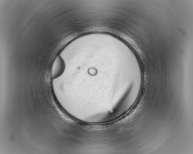 X0000111050841200907161404