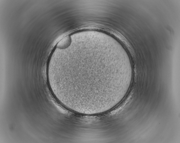 X0000111050842200907161404