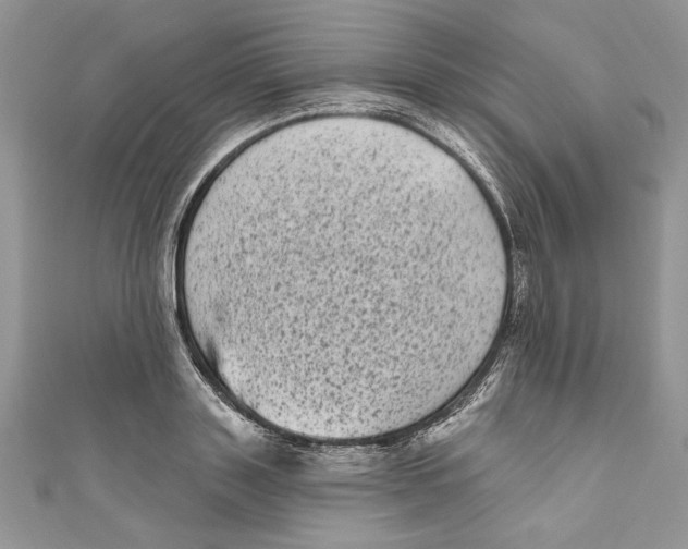 X0000111050843200907161404