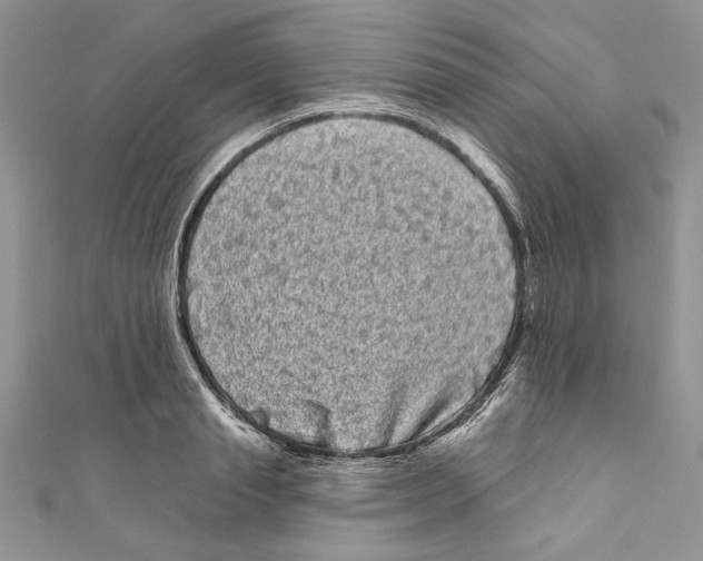 X0000111050845200907161404