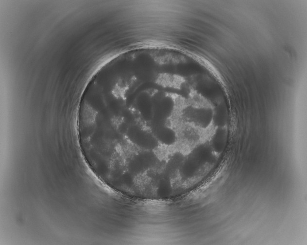 X0000111050847200907161404