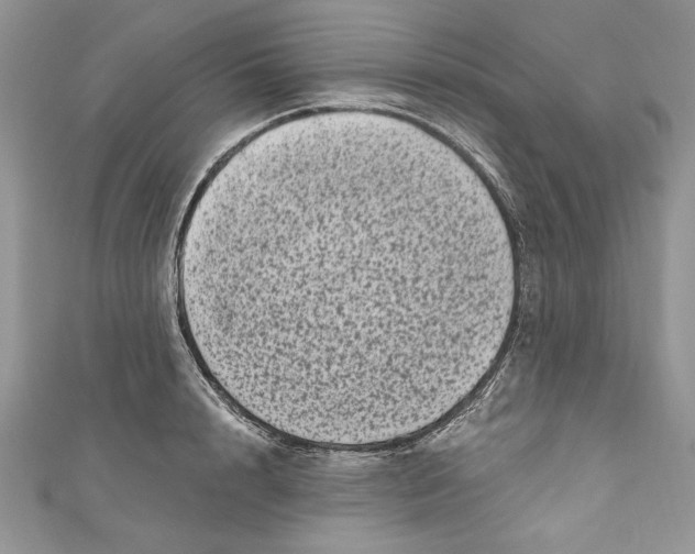 X0000111050848200907161404