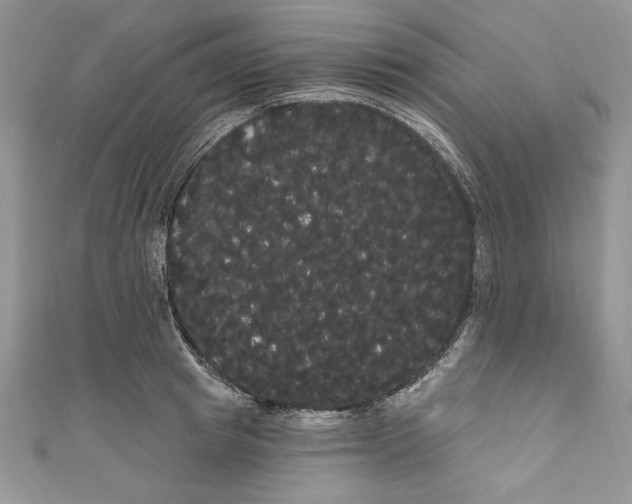 X0000111050849200907161404