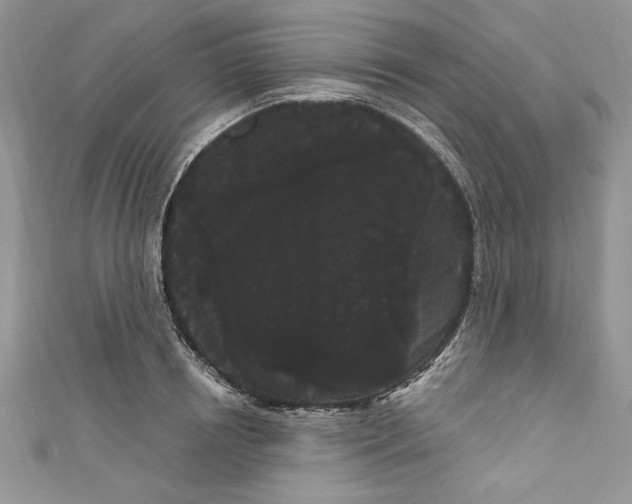 X0000111050850200907161404