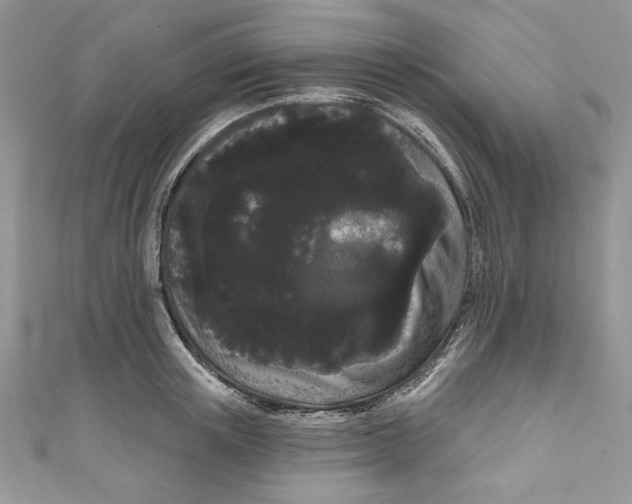 X0000111050851200907161404