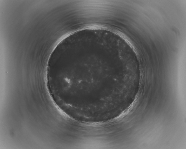 X0000111050853200907161404