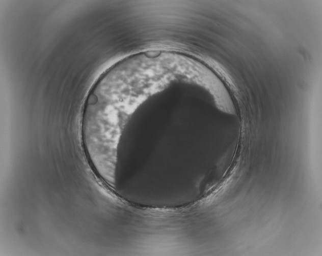 X0000111050854200907161404