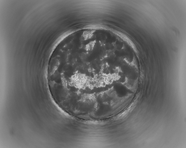 X0000111050855200907161404