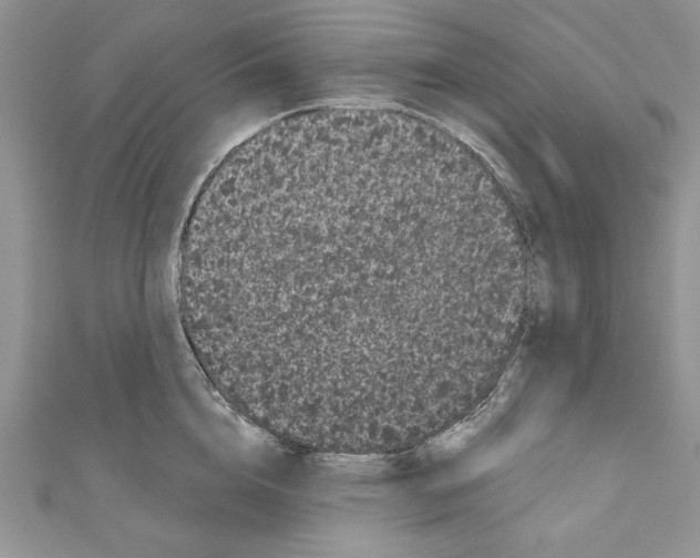 X0000111050856200907161404