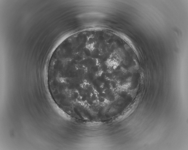 X0000111050859200907161404