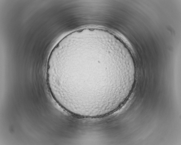 X0000111050860200907161404