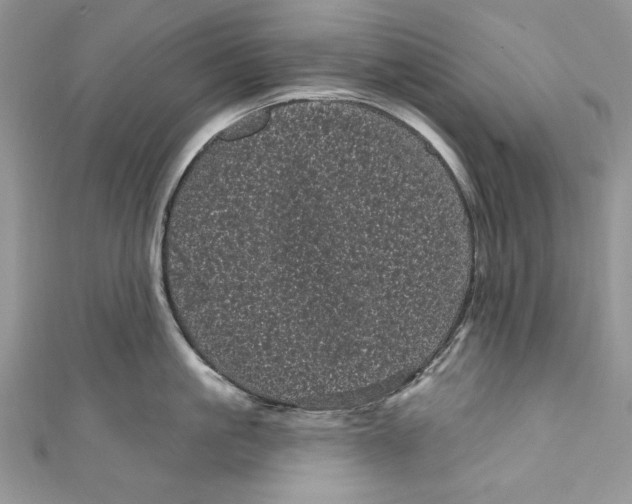 X0000111050861200907161404