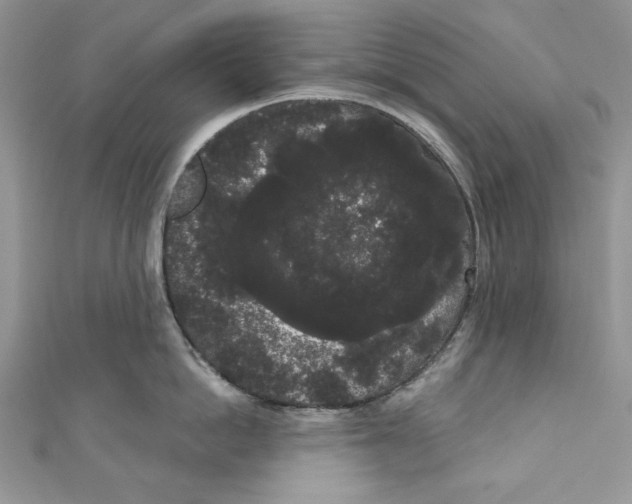 X0000111050862200907161404