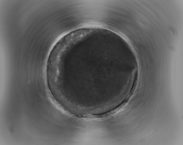 X0000111050864200907161404