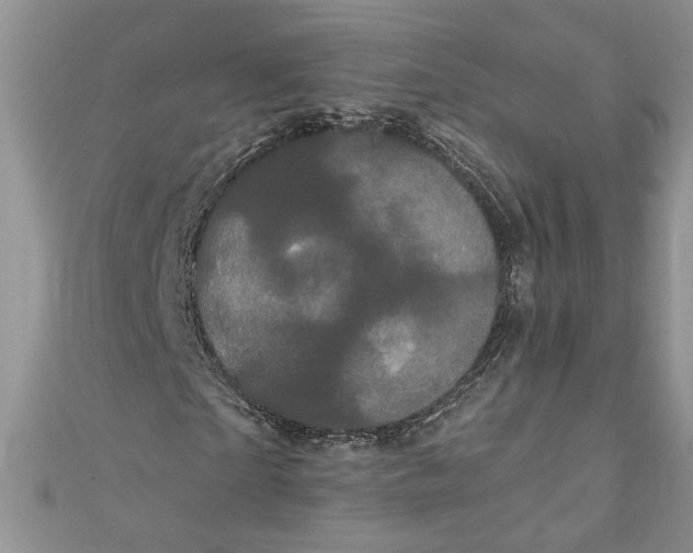 X0000111050865200907161403