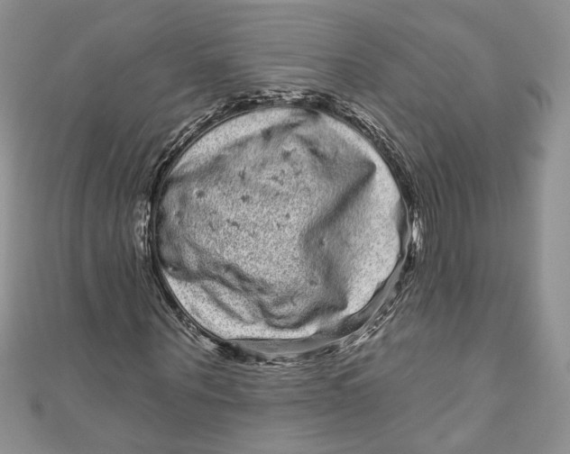 X0000111050867200907161403