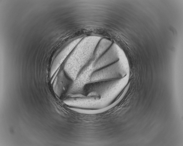 X0000111050868200907161403