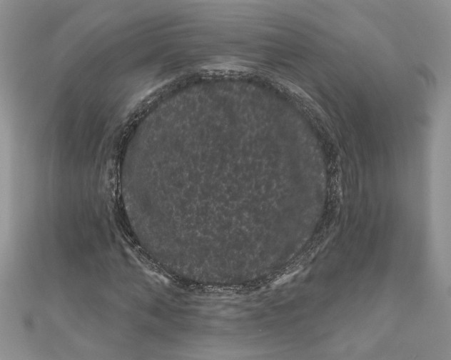 X0000111050870200907161403