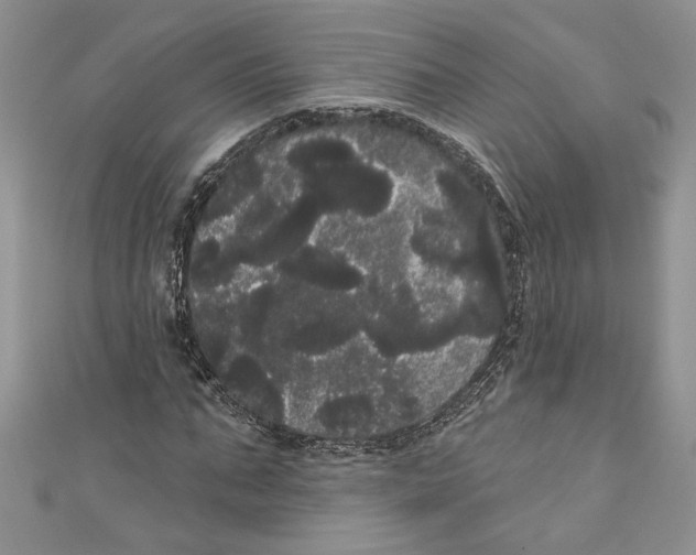 X0000111050871200907161403