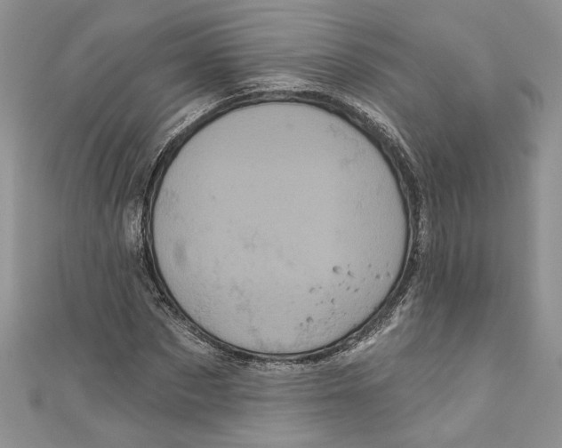 X0000111050873200907161403