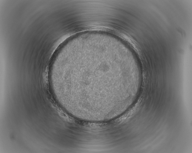 X0000111050875200907161403