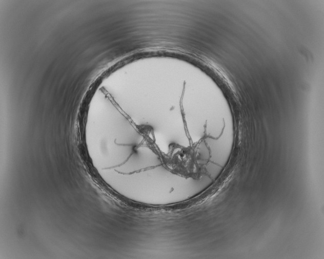 X0000111050876200907161403