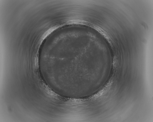 X0000111050877200907161403