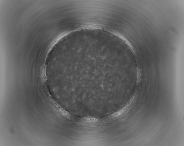 X0000111050878200907161403